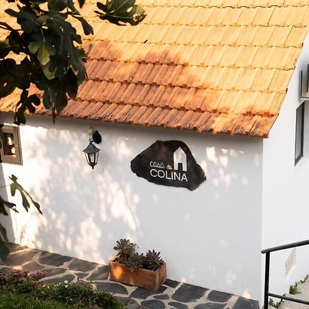 Casa Da Colina Villa Amarante Exteriör bild
